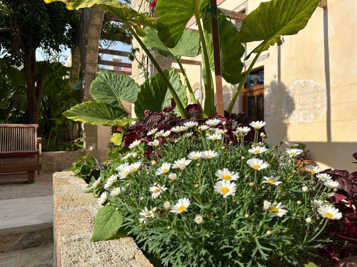 Sala Historical Luxury Suites Rhodes City Zewnętrze zdjęcie